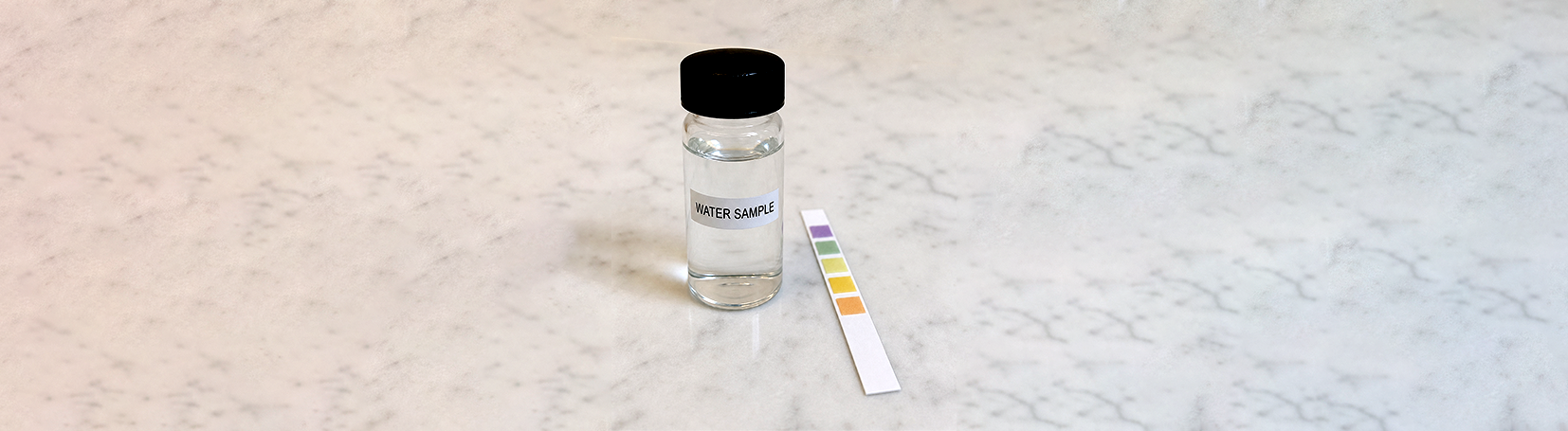 A vial of water and a test strip.