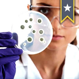 What is sterilization?