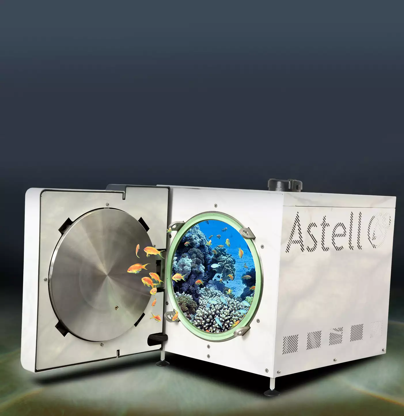 Protecting biodiversity in the Persian Gulf