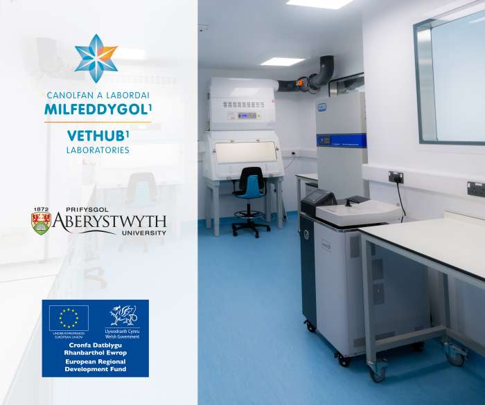 Vethub1