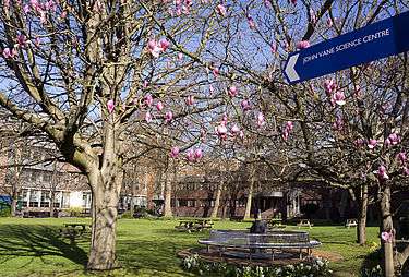 Barts Cancer Institute
